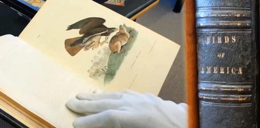Libro "Birds of America" de John James Audubon. (YouTube)