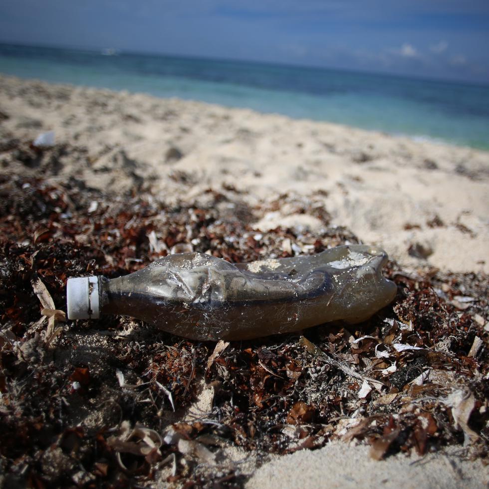 Desechos plásticos que se observan con regularidad en las playas.