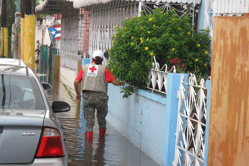 La directora del capítulo de Puerto Rico de la Cruz Roja Americana, Lee Vanessa Feliciano, exhortó a la ciudadanía a completar sus planes familiares para estar listos en caso de emergencia durante esta temporada de huracanes. (Archivo / GFR Media)