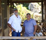Juan Biblioni (izq.) y Leonard Torres se unieron para impulsar el crecimiento de la distribuidora de carnes y frutos locales Puerto Rico Lamb & Products, Inc.