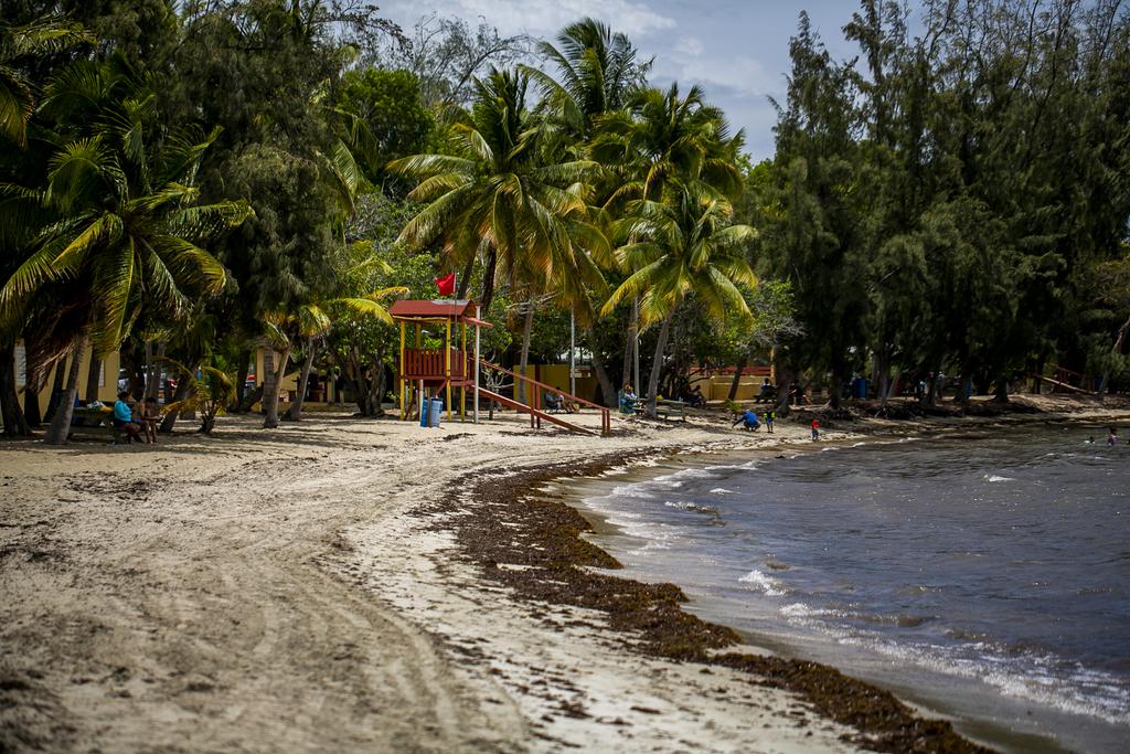 Inspeccionar enero complemento El DRNA identifica un exceso de enterococos en seis playas de la isla - El  Nuevo Día
