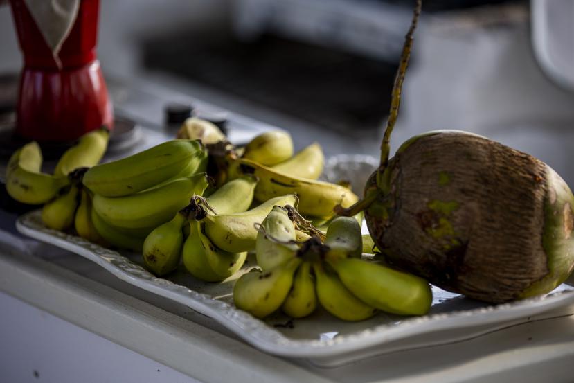 La finca cuenta con cultivos de parcha, coco, guanábanas, plátanos, guineo y batata, entre otros.