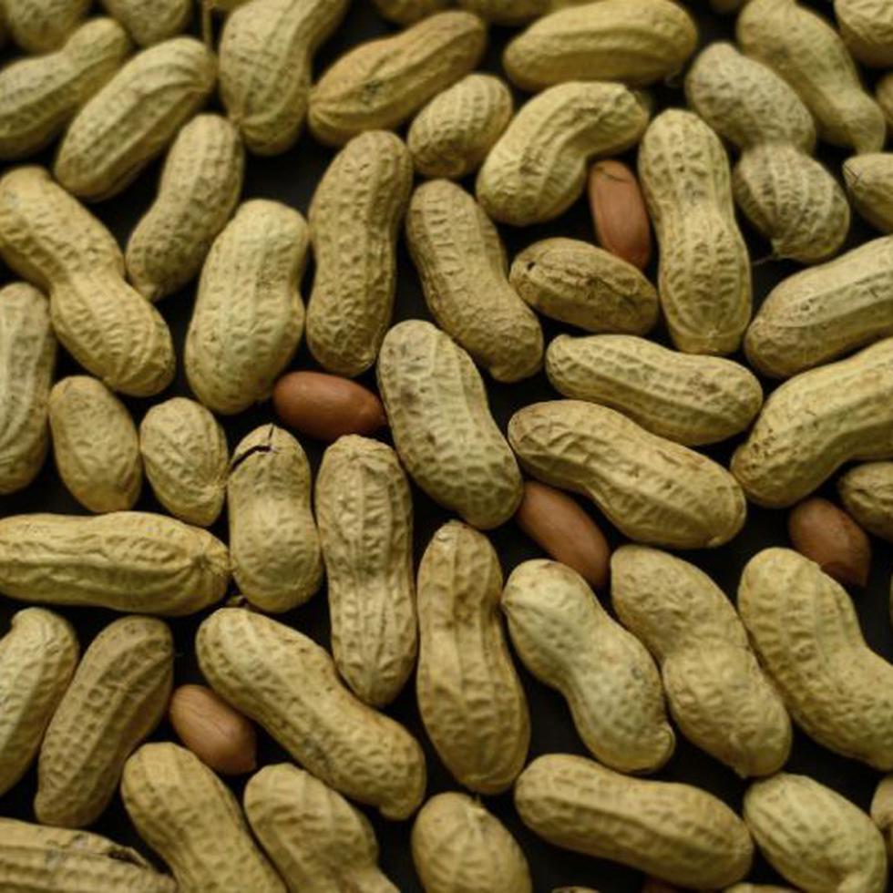 El parche Viaskin Peanut no ha sido aprobado por la Administración de Alimentos y Medicamentos de Estados Unidos. (AP)