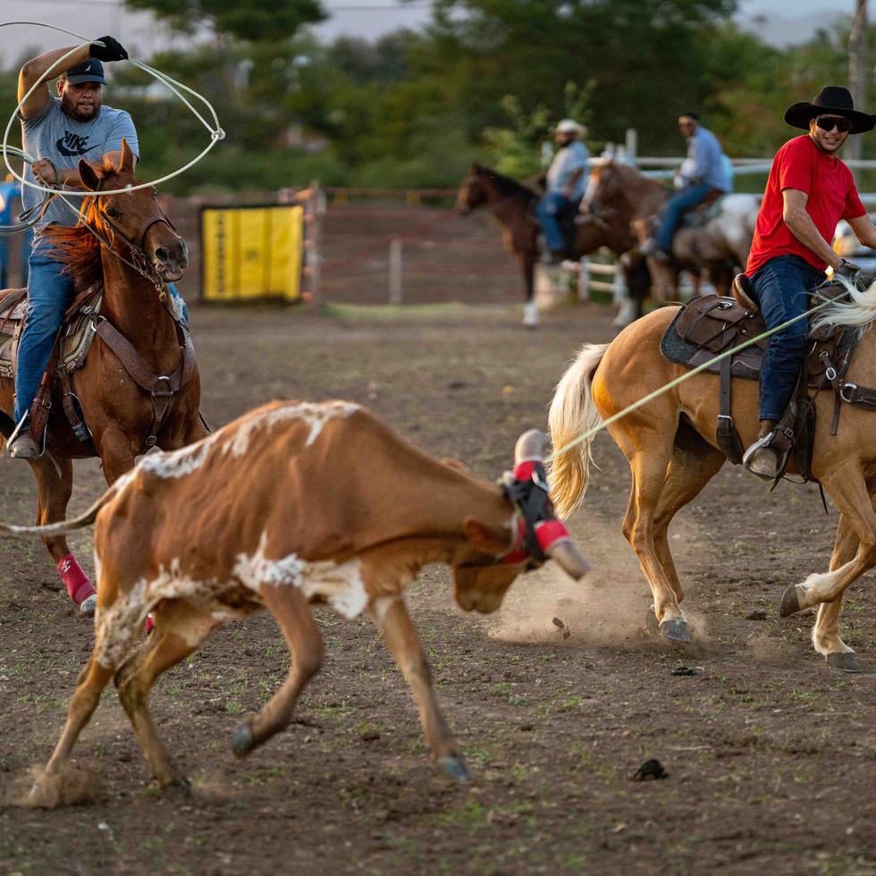 Puerto Rican Cowboys Live Their Passion for Rodeo at Hacienda Muñoz in Juana Díaz  