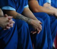 De programa se benefician 102 confinados ubicados en la cárcel 1072 de Bayamón y en la de Ponce. (Archivo / GFR Media)