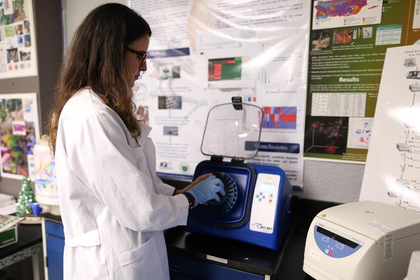 La ecóloga microbiana Filipa Godoy Vitorino indicó que una de las metas del estudio es el desarrollo de probióticos vaginales. (GFR Media)