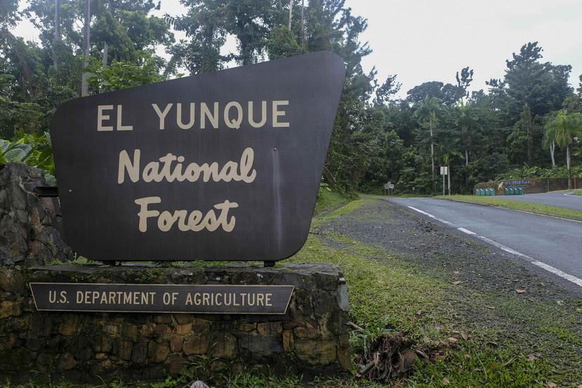 El bosque pluvial está cerrado al público desde el pasado 15 de marzo, cuando el gobierno local ordenó cerrar todas las atracciones turísticas.