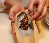 Fotografía de la elaboración de tamales con insectos, el jueves 30 de enero de 2020, en Ciudad de México (México). (EFE/ Mario Guzmán)
