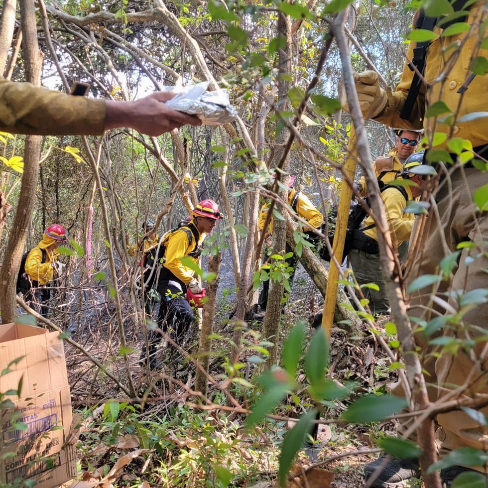Bomberos realizando labores de extinción y supresión de llamas en el incendio forestal entre San Germán y Maricao. Foto tomada el 9 de marzo de 2023.