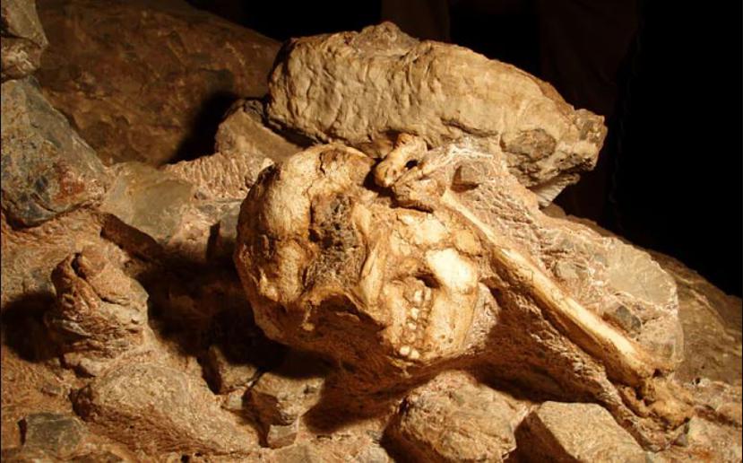 El esqueleto fue descubierto en las cuevas de Sterkfontein, en las afueras de Johannesburgo. (Universidad de Witwatersrand)