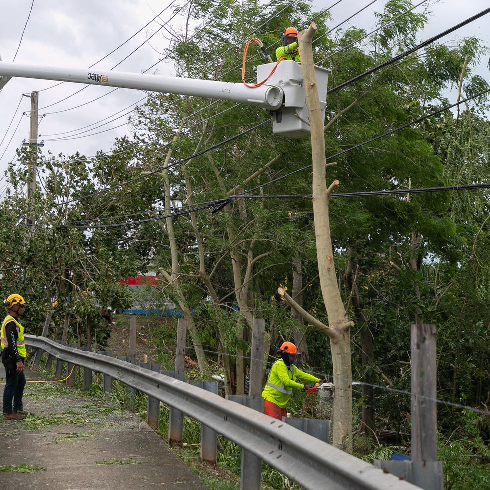En esta foto de archivo, empleados y subcontratados de LUMA Energy realizan trabajos de desganche tras el paso del huracán Fiona.