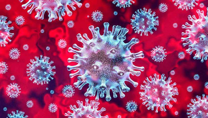 Hay un brote mundial por el coronavirus. (Shutterstock)