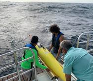 De los cuatro “gliders”, tres fueron lanzados en el mar Caribe y uno, en el océano Atlántico, y estarán en el agua hasta finales de noviembre, cuando  termina la temporada de huracanes.