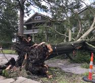 Una persona murió tras sufrir heridas por un árbol caído en Luisiana.