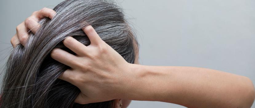El encanecimiento del pelo en algunos casos sería una señal de alerta para el organismo. (Shutterstock)