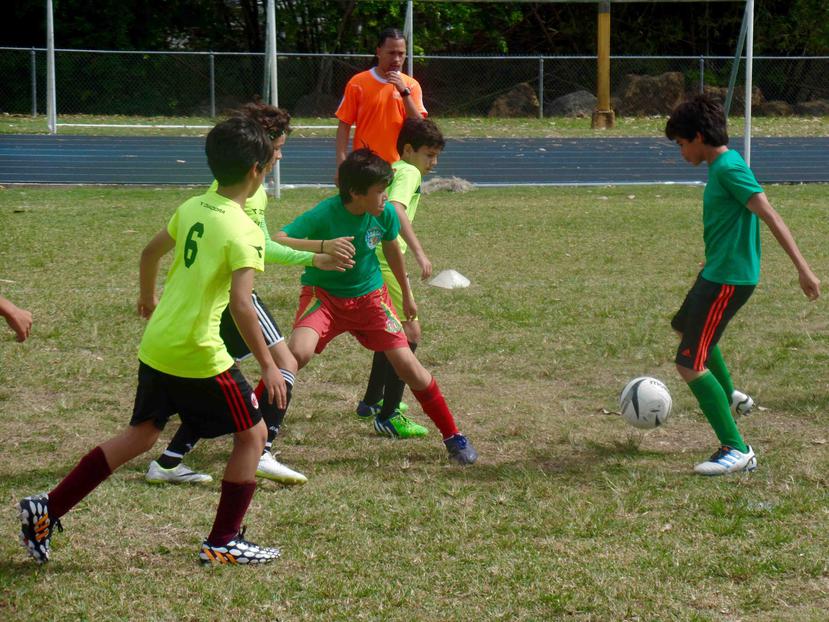 Cogen forma los Juegos de Puerto Rico El Nuevo Día