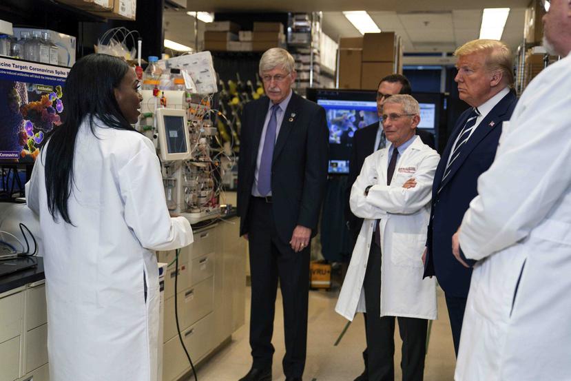 Investigadores hablan con el presidente Donald Trump sobre el desarrollo de una vacuna para el coronavirus. (AP)