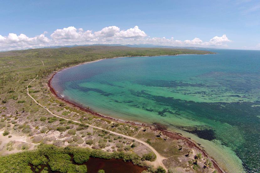 La organización Para la Naturaleza, del Fideicomiso de Conservación, maneja 48.3 millas de costa en Puerto Rico. Una de las áreas a su cargo es la reserva natural Punta Ballena, entre Guánica y Yauco, a la que la mayoría de las personas accede en yolas y