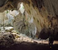 Según la Ley 111, las cuevas, cavernas y sumideros son un “recurso natural único” por su fauna, valor arqueológico e histórico, sus recursos de agua subterránea y por propiciar la recreación e investigación científica.
