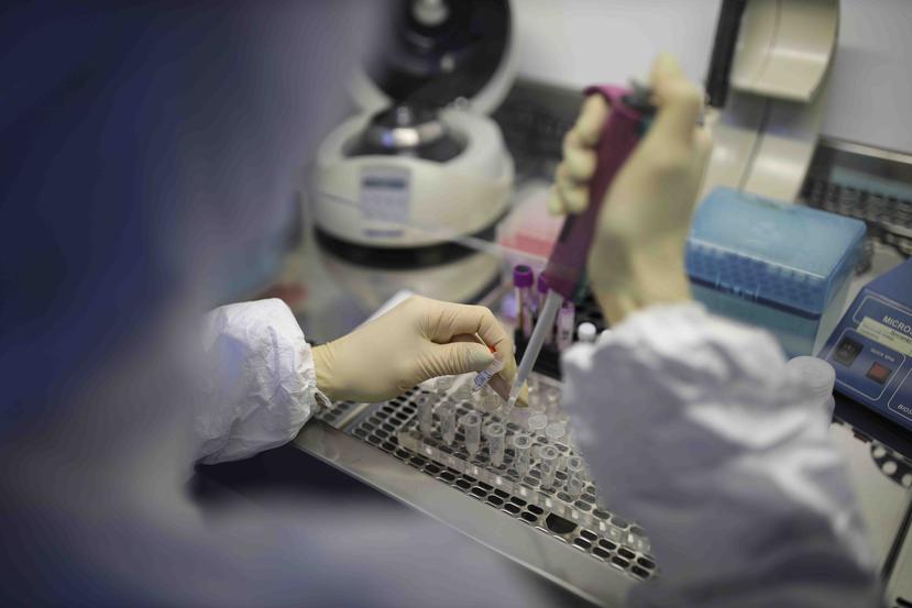 Alrededor de 25 firmas de farmacéuticas desarrollan ensayos clínicos contra el coronavirus. (AP)