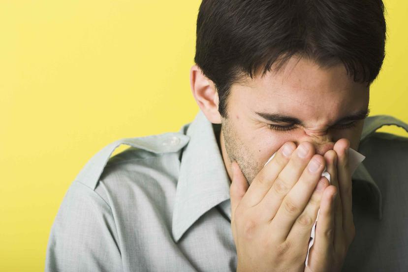 El experto indicó que muchas personas le han compartido en las redes sociales -en la página Alergia a Hongos- que se sienten enfermas o con asma. (Getty Images / Nick Schlax)