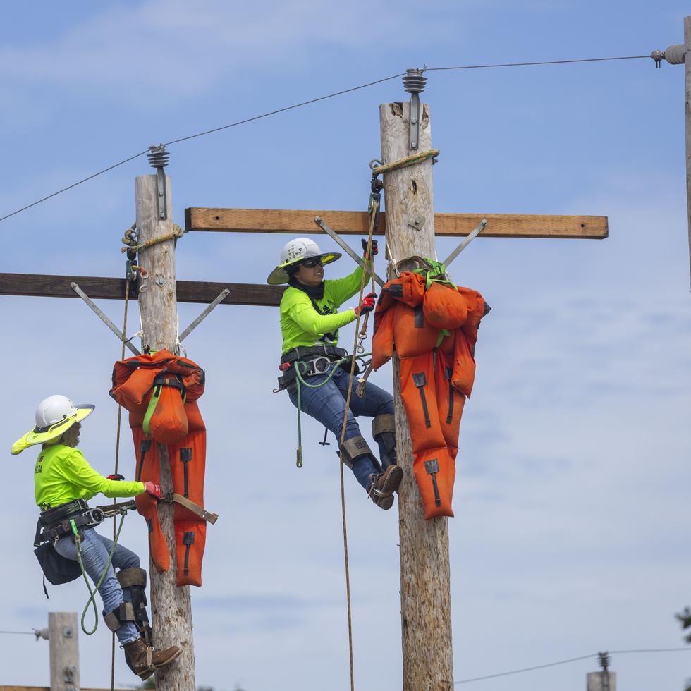 LUMA Energy no paga patentes y arbitrios al Centro de Recaudación de Ingresos Municipales desde 2021 por los trabajos que hacen en la red eléctrica, según el presidente de la Junta de Gobierno del CRIM.