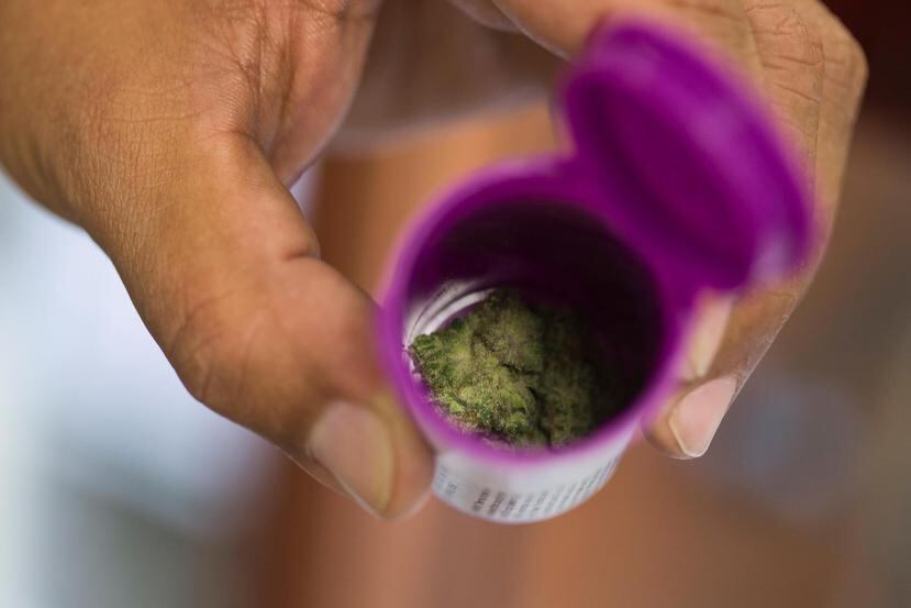 Actualmente, el uso del cannabis medicinal está autorizado en la isla para pacientes de unas 15 condiciones crónicas o debilitantes, pero se requiere de una licencia del Departamento de Salud. (GFR Media)