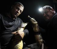 Michael Jesús Díaz Rosario (izq.) y Carlos Jesus Díaz Rosario, hermanos de 32 y 33 años, respectivamente, que se dedican a la caza de caimanes en el río Grande de Loíza.