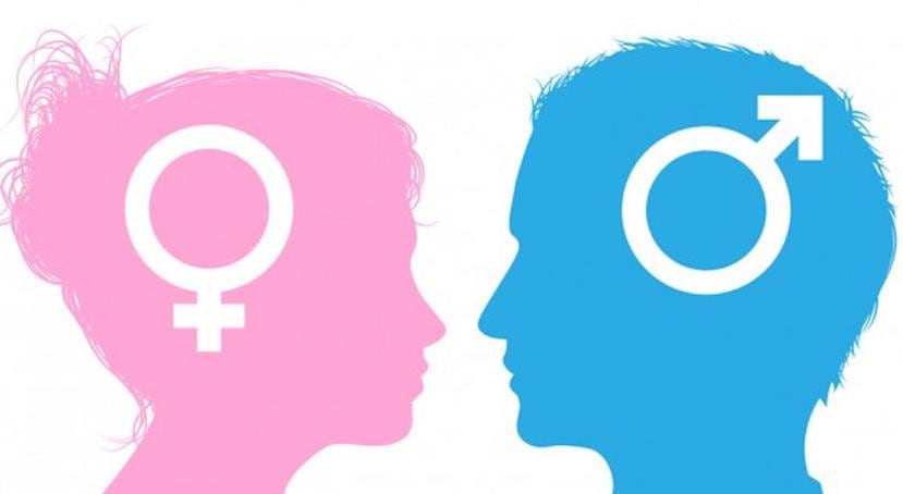 “Contrario a lo que diversos sectores de la sociedad han sostenido, el concepto perspectiva de género tiene como finalidad medir el impacto que tienen las políticas públicas y sociales en las poblaciones de las mujeres". (Shutterstock)