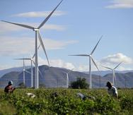 En Santa Isabel figuran unos molinos de viento, pero la medida propone que los nuevos se coloquen en el agua. (GFR Media)