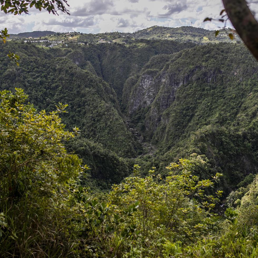 El Cañón San Cristóbal, en Barranquitas, es una de las áreas protegidas por Para la Naturaleza.