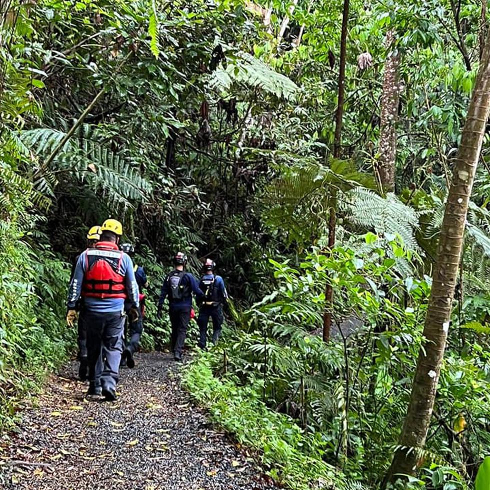 Rescatistas del Negociado para el Manejo de Emergencias y Administración de Desastres durante el proceso de rescate de las últimas tres personas extraviadas en la vereda El Angelito en el bosque nacional El Yunque.