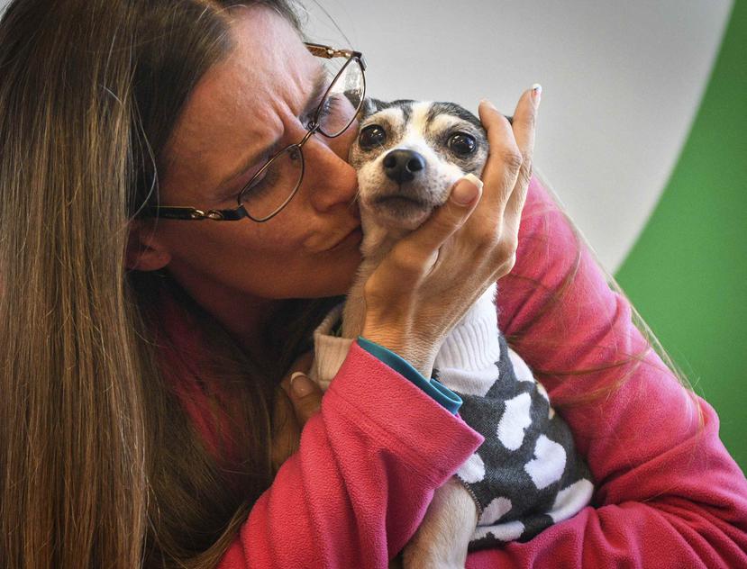 Katheryn Strang se reúne con su perra fox terrier miniatura Dutchess en un centro de Humane Animal Rescue. (AP)