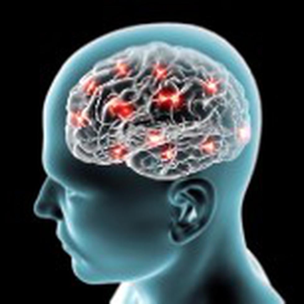 Los científicos de Mayo Clinic estudiaron los cerebros de 342 pacientes fallecidos, en quienes se había confirmado patológicamente la enfermedad de Alzheimer, y los dividieron en dos grupos, en base a la presencia o ausencia de la proteína TDP-43. Se descubrió la proteína en 195 de los casos, correspondiente a 57 %.