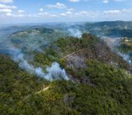 Imagen de archivo del incendio forestal que afectó parte de los terrenos del Bosque Estatal de Maricao.