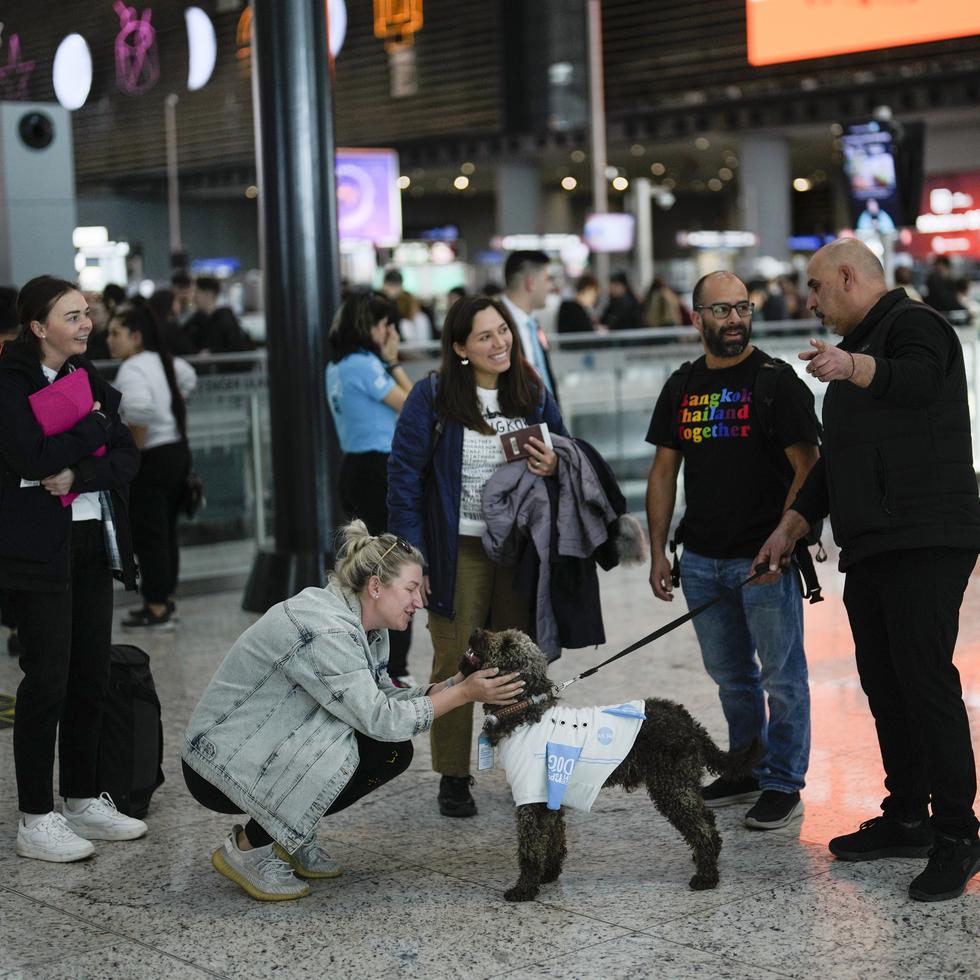 El Aeropuerto de Estambul ha hecho cinco nuevas contrataciones para proporcionar una experiencia libre de estrés a los viajeros con ansiedad: perros de terapia siempre dispuestos a ofrecer su apoyo con mimos, caricias y besos.