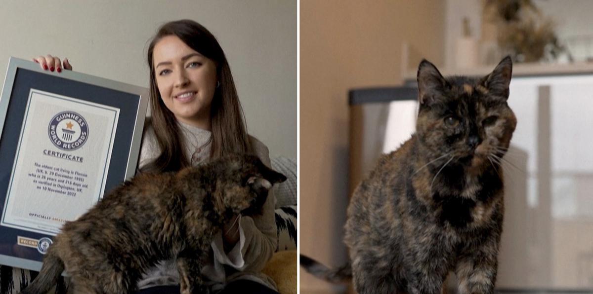 Conoce a Flossie: la gata más vieja del mundo