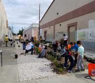 Como una alternativa para disminuir los contaminantes en la escorrentía que llega a la costa, los residentes del barrio Playa de Ponce desarrollaron dos jardines de lluvia.