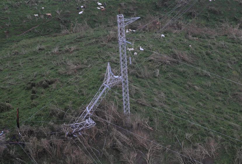 En la zona sureste del país, la Autoridad de Energía Eléctrica sufrió grandes daños, incluida la pérdida de decenas de torres de transmisión, como estas en Las Piedras. (GFR Media)