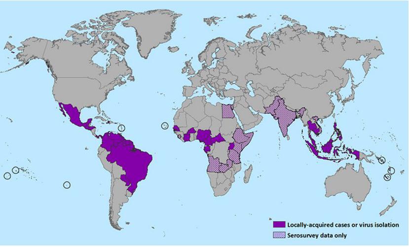 Hay 49 países en los que se ha comprobado la transmisión del virus del Zika. (Toma pantalla / CDC)
