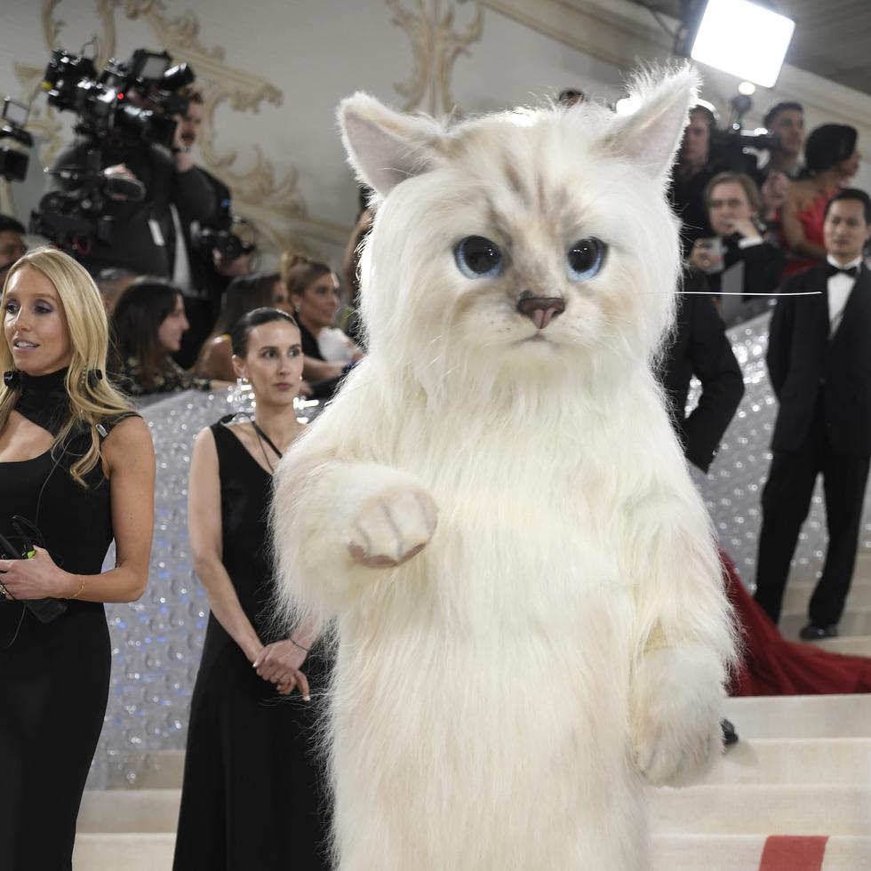 Jared Leto vestido de la gata Choupette.
