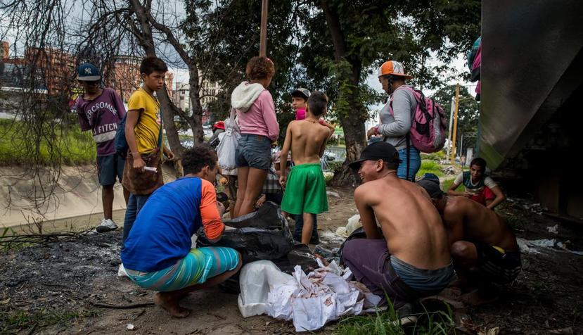 Un grupo de niños busca comida entre las bolsas de basura que obtuvieron en una panadería. (EFE / Miguel Gutiérrez)