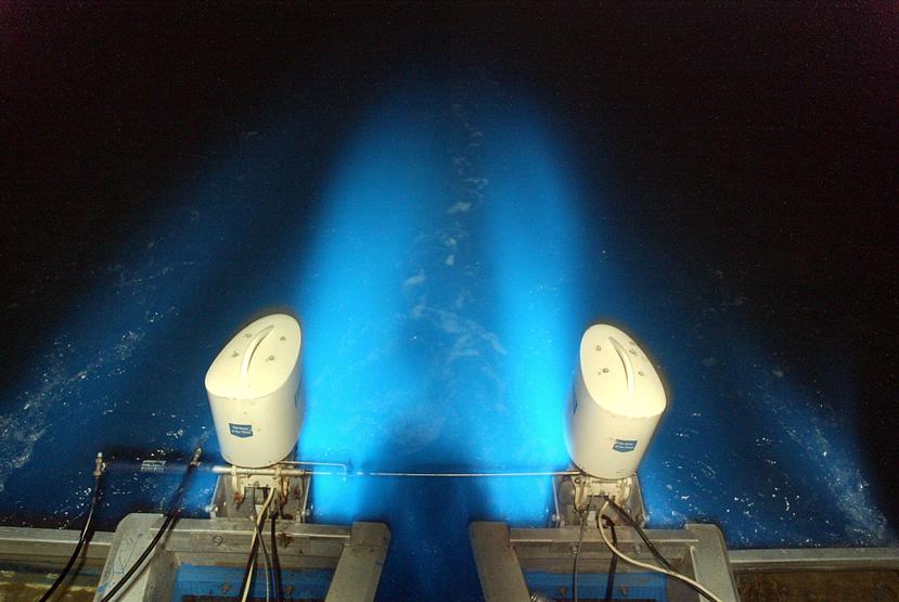La Bahía Bioluminiscente Mosquito, en Vieques, cuenta con la bioluminiscencia más notable.