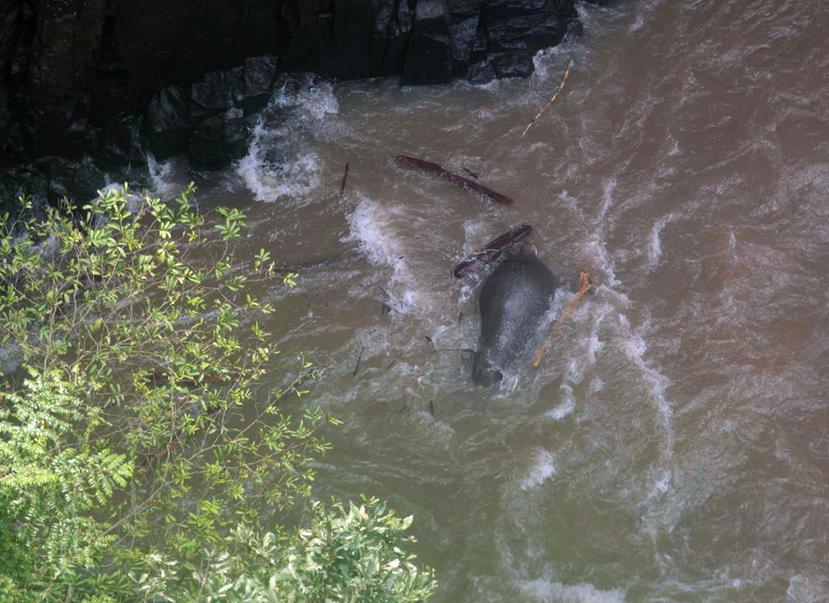 Los seis elefantes salvajes, uno de los cuales era una cría de tres años, cayeron en la madrugada del sábado por la catarata Haew Narok. (EFE)