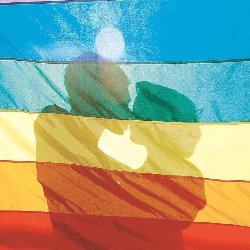 El izado de la bandera coincide con la inauguración de una exposición sobre el movimiento LGBTI. (EFE/Antonio Lacerda)
