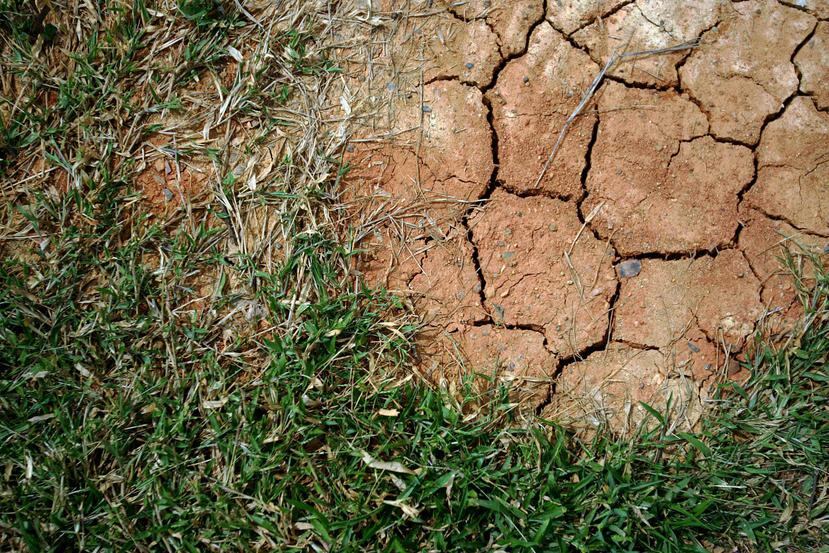 13 municipios de la zona central-sur y siete pueblos del suroeste de la isla siguen bajo condiciones de sequía moderada. (GFR Media)