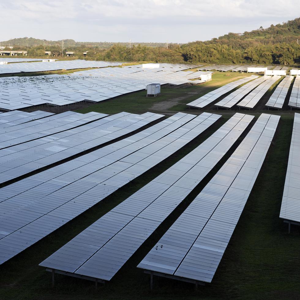 Humacao, Puerto Rico, Marzo 02 2023 — Vista parcial  de paneles solares de Humacao Solar Proyect. Donde una vez fue una finca agrícola. 

FOTO POR:  
xavier.araujo@gfrmedia.com
Xavier Araujo / GFR Media


