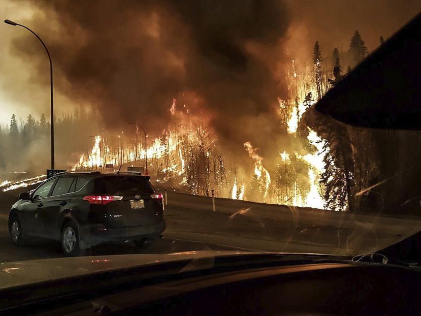 En todo el territorio provincial hay 49 fuegos forestales, de los que sólo siete están bajo control. (EFE)