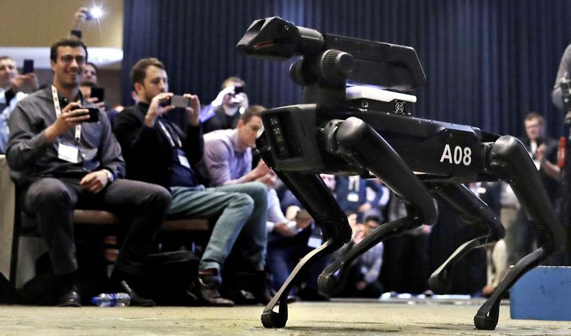 Un robot SpotMini de Boston Dynamics caminando en una sala de conferencias durante una cumbre de robótica en Boston. (AP/Charles Krupa)