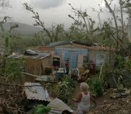 Uno de los hogares de Daniel Burgos y Maria Cruz, en el sector Parcelas Viejas del barrio Daguao, quedó completamente destruida. (Suministrada)
